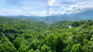 2025最新美国黄石国家公园旅游全攻略! 2025最新美国黄石国家公园旅游全攻略!