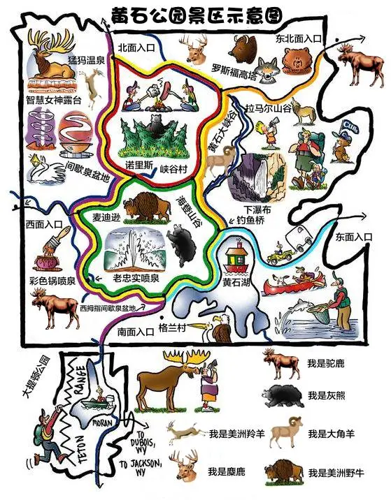2025最新美国黄石国家公园旅游全攻略! 2025最新美国黄石国家公园旅游全攻略!