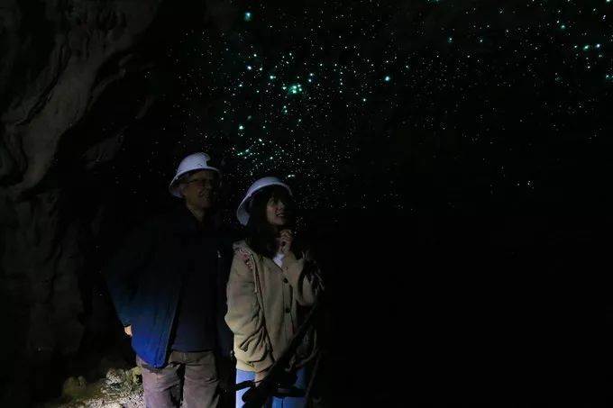 季节限定!这波有点“黄”:世界各地摄影师竟争相前往... 季节限定!这波有点“黄”:世界各地摄影师竟争相前往...