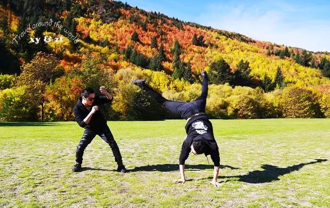 季节限定!这波有点“黄”:世界各地摄影师竟争相前往... 季节限定!这波有点“黄”:世界各地摄影师竟争相前往...