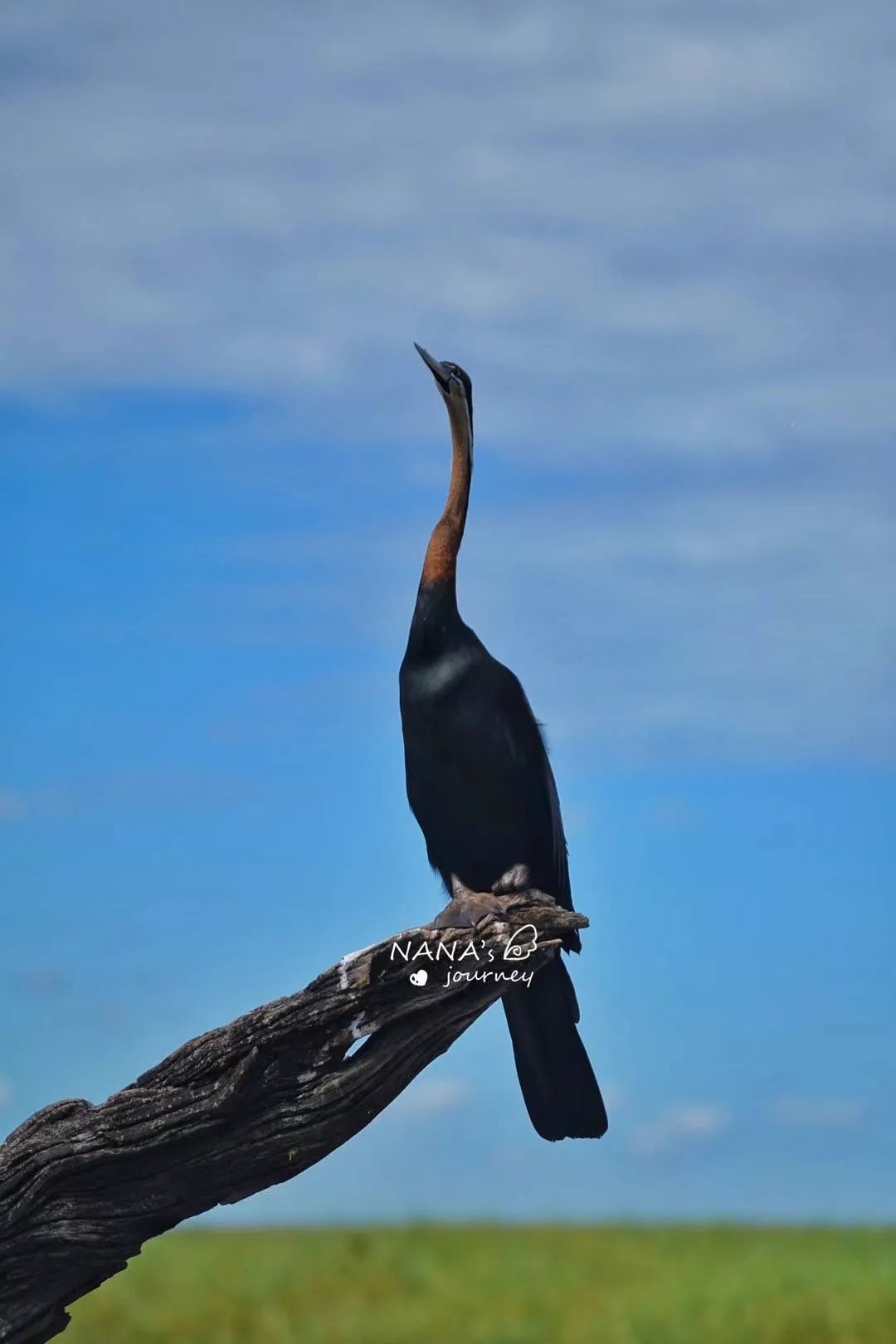 用镜头记录地球原始纯真:一场非洲野性之旅! 用镜头记录地球原始纯真:一场非洲野性之旅!