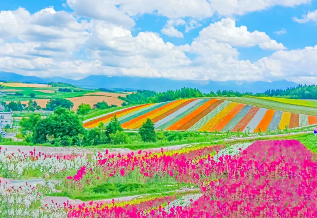 日币暴跌,游客”抄底“!今夏赶紧跟着汇率去日本旅行 ~ 日币暴跌,游客”抄底“!今夏赶紧跟着汇率去日本旅行 ~