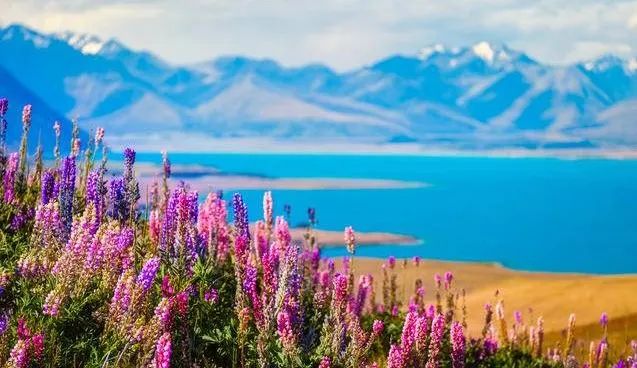 揭秘反季旅游胜地:纯净新西兰 体验全境封神级别的夏天! 揭秘反季旅游胜地:纯净新西兰 体验全境封神级别的夏天!