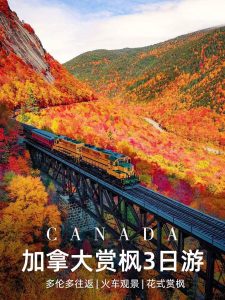 多伦多往返|加拿大火车赏枫3日游攻略【旅游线路】 多伦多往返|加拿大火车赏枫3日游攻略【旅游线路】