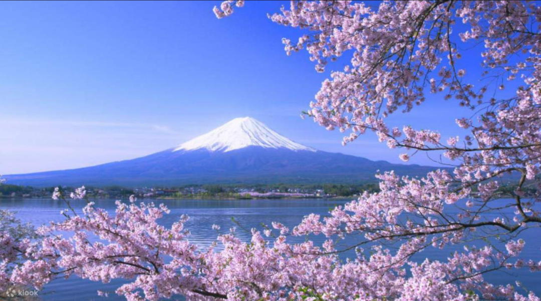 “想再去旅游的国家” 日本获选全球第一!入境手续仅需扫码 超方便 “想再去旅游的国家” 日本获选全球第一!入境手续仅需扫码 超方便