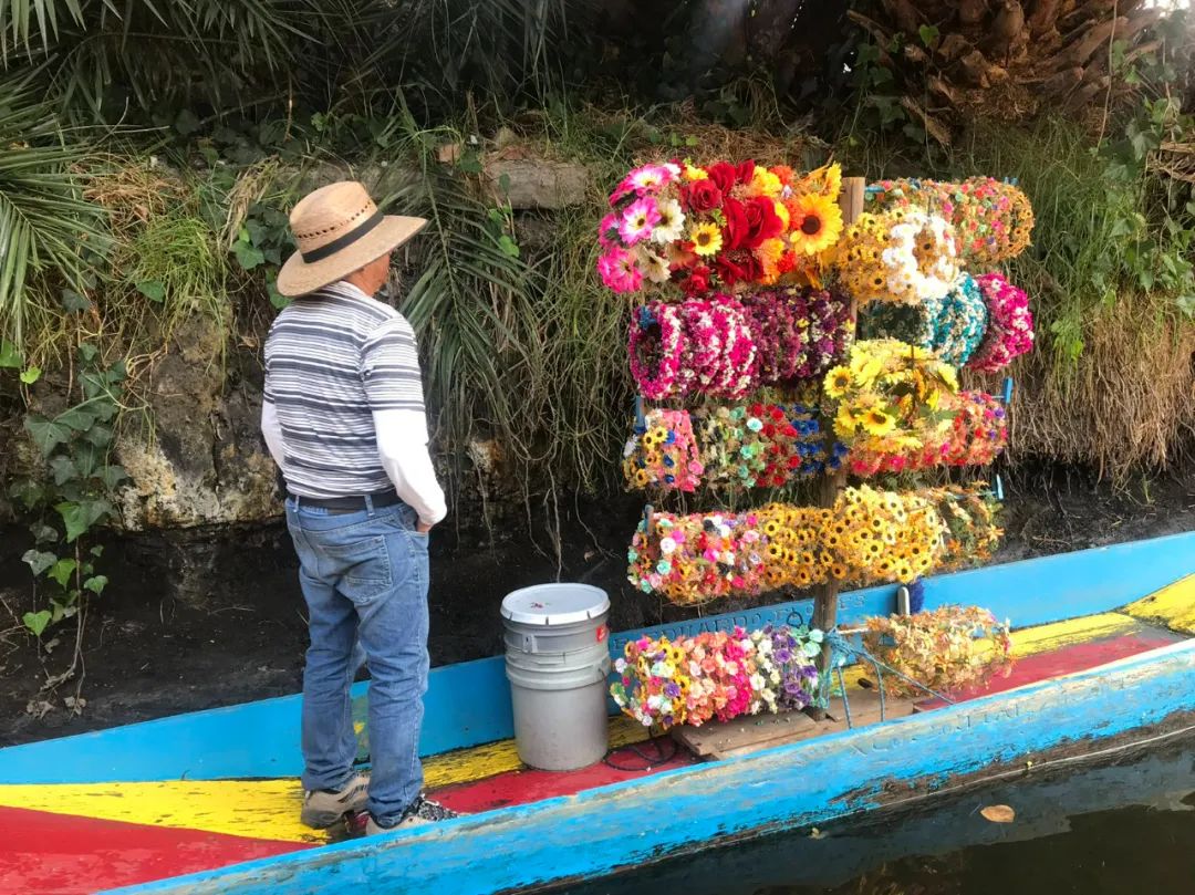 错过一次等一年!《寻梦环游记》主题之旅!今年亡灵节去墨西哥“鬼混”! 错过一次等一年!《寻梦环游记》主题之旅!今年亡灵节去墨西哥“鬼混”!