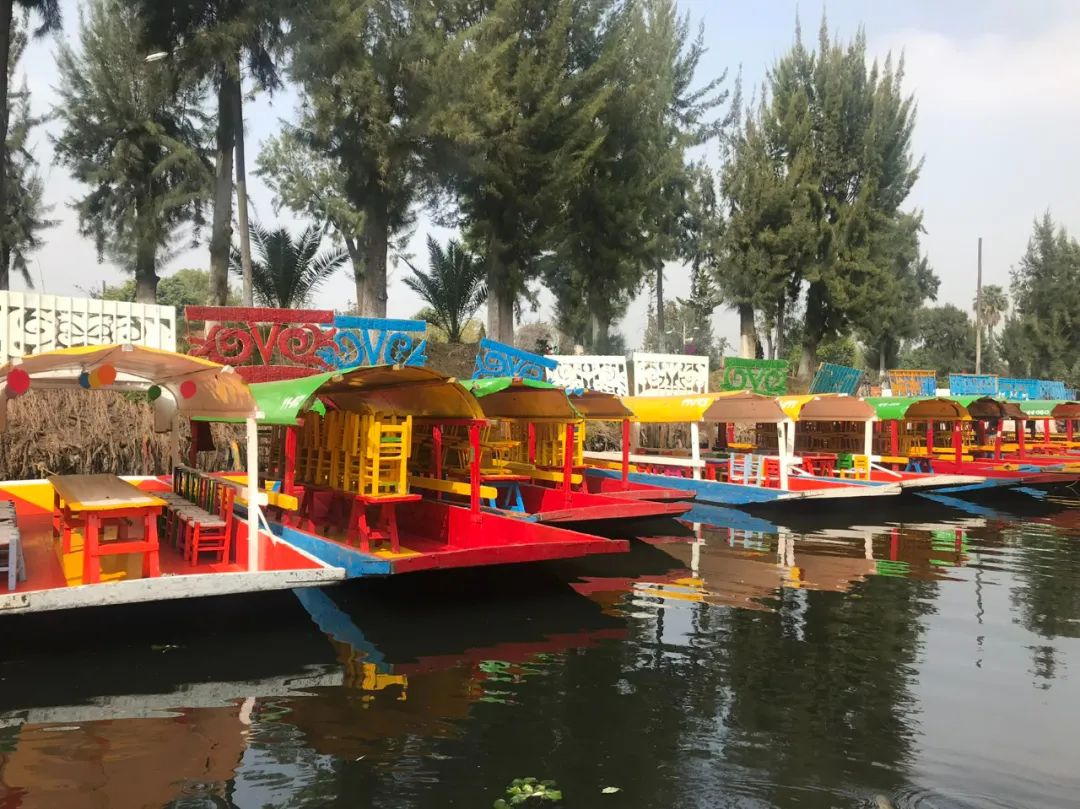 错过一次等一年!《寻梦环游记》主题之旅!今年亡灵节去墨西哥“鬼混”! 错过一次等一年!《寻梦环游记》主题之旅!今年亡灵节去墨西哥“鬼混”!