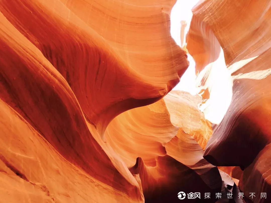 黄石旅游特惠5折起! 如果一生只去一次,一切都是最好的安排! 黄石旅游特惠5折起! 如果一生只去一次,一切都是最好的安排!