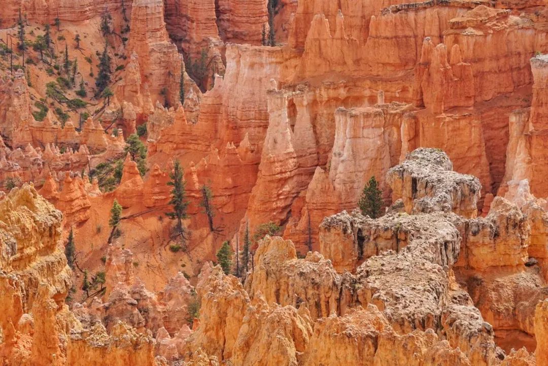 黄石旅游特惠5折起! 如果一生只去一次,一切都是最好的安排! 黄石旅游特惠5折起! 如果一生只去一次,一切都是最好的安排!