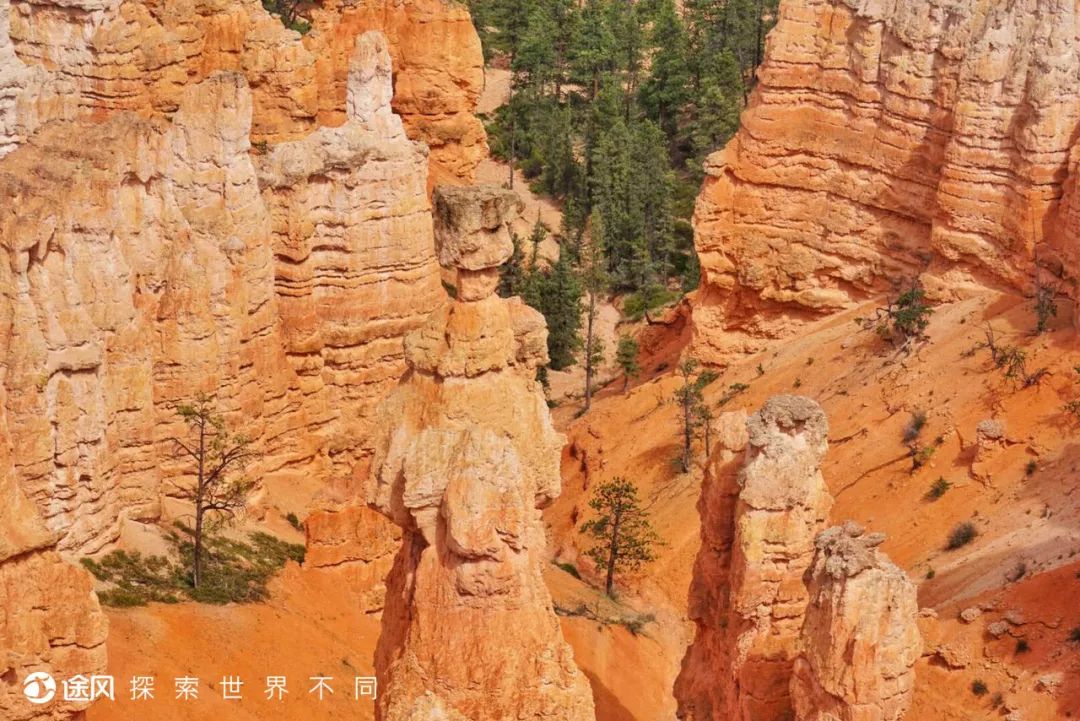 黄石旅游特惠5折起! 如果一生只去一次,一切都是最好的安排! 黄石旅游特惠5折起! 如果一生只去一次,一切都是最好的安排!