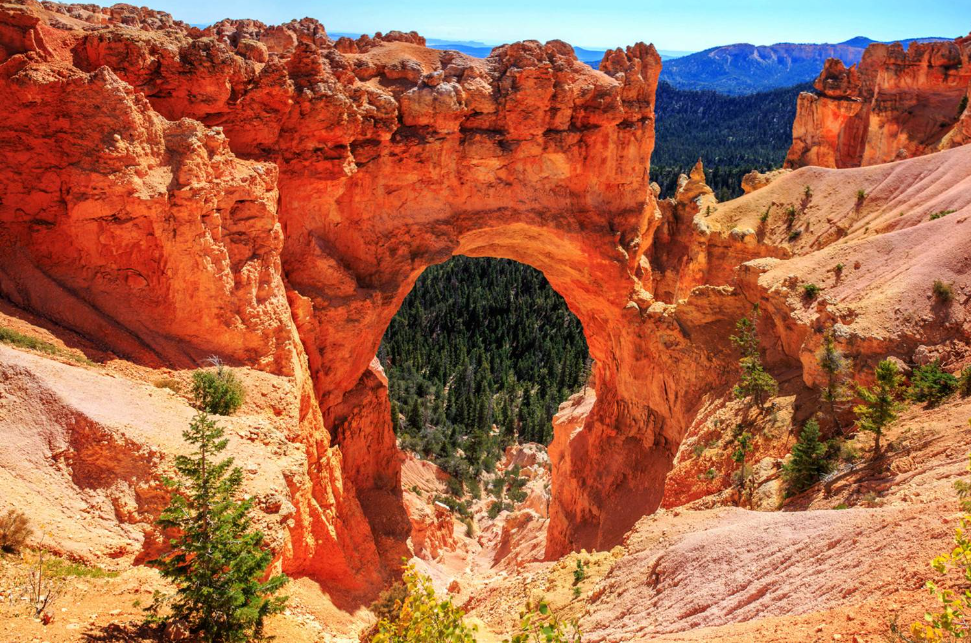 黄石旅游特惠5折起! 如果一生只去一次,一切都是最好的安排! 黄石旅游特惠5折起! 如果一生只去一次,一切都是最好的安排!