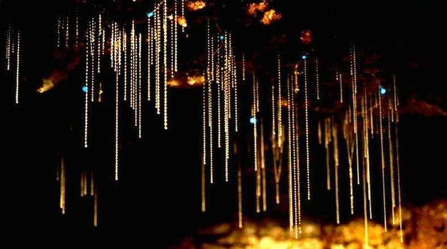 请查收!送你一场自由且松弛的澳洲攻略! 请查收!送你一场自由且松弛的澳洲攻略!