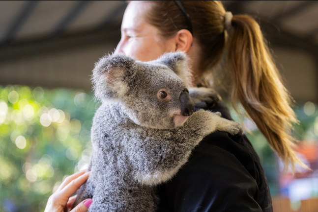 请查收!送你一场自由且松弛的澳洲攻略! 请查收!送你一场自由且松弛的澳洲攻略!