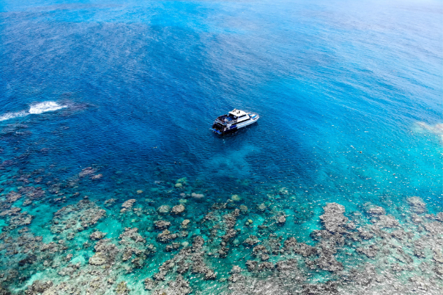 请查收!送你一场自由且松弛的澳洲攻略! 请查收!送你一场自由且松弛的澳洲攻略!