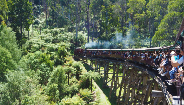 请查收!送你一场自由且松弛的澳洲攻略! 请查收!送你一场自由且松弛的澳洲攻略!