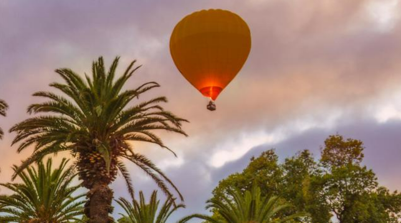 请查收!送你一场自由且松弛的澳洲攻略! 请查收!送你一场自由且松弛的澳洲攻略!