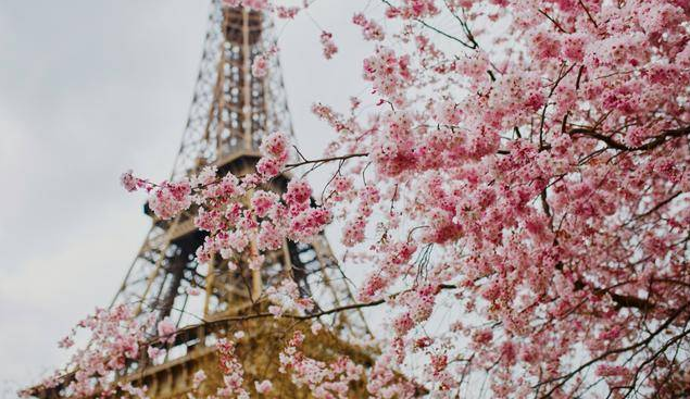 直击巴黎!全世界见证 法国人刻在骨子里的浪漫…… 直击巴黎!全世界见证 法国人刻在骨子里的浪漫……