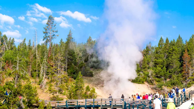 “猫猫我呀 从黄石公园走回家咯!”2岁小猫迷失黄石 独自跨越4个州平安回家! “猫猫我呀 从黄石公园走回家咯!”2岁小猫迷失黄石 独自跨越4个州平安回家!