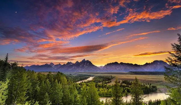 “猫猫我呀 从黄石公园走回家咯!”2岁小猫迷失黄石 独自跨越4个州平安回家! “猫猫我呀 从黄石公园走回家咯!”2岁小猫迷失黄石 独自跨越4个州平安回家!