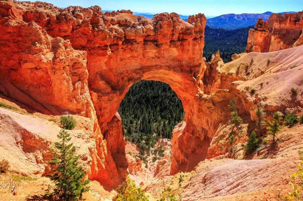 “猫猫我呀 从黄石公园走回家咯!”2岁小猫迷失黄石 独自跨越4个州平安回家! “猫猫我呀 从黄石公园走回家咯!”2岁小猫迷失黄石 独自跨越4个州平安回家!