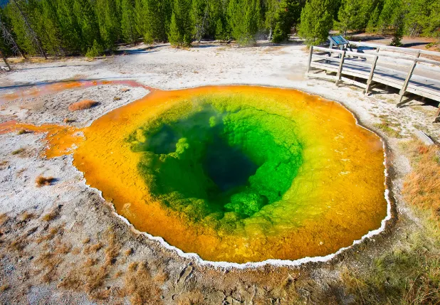 “猫猫我呀 从黄石公园走回家咯!”2岁小猫迷失黄石 独自跨越4个州平安回家! “猫猫我呀 从黄石公园走回家咯!”2岁小猫迷失黄石 独自跨越4个州平安回家!