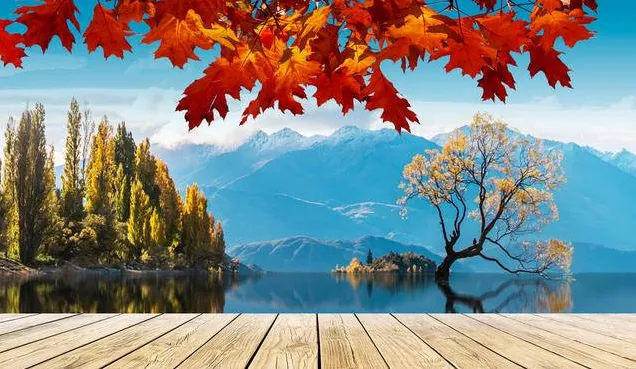 上帝的后花园:霸榜《孤独星球》NO.1 心之所向新西兰! 上帝的后花园:霸榜《孤独星球》NO.1 心之所向新西兰!