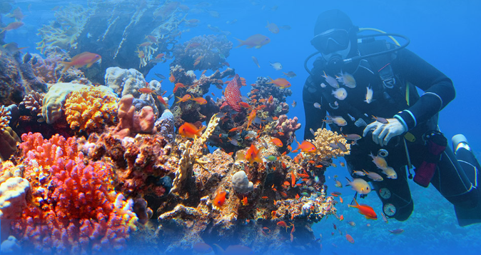 初玩澳大利亚全攻略:看这一篇就够了! 初玩澳大利亚全攻略:看这一篇就够了!