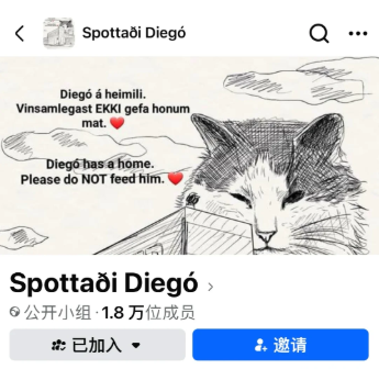 寻猫启事!!冰岛明星猫熟睡时遭人绑架了! 寻猫启事!!冰岛明星猫熟睡时遭人绑架了!