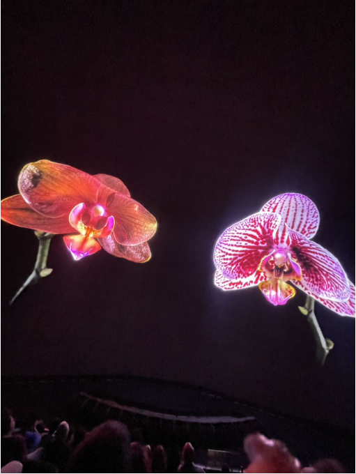 游记+攻略!暴走拉斯维加斯归来:Sphere大球、5星级酒店、网红甜品……全是干货! 游记+攻略!暴走拉斯维加斯归来:Sphere大球、5星级酒店、网红甜品……全是干货!