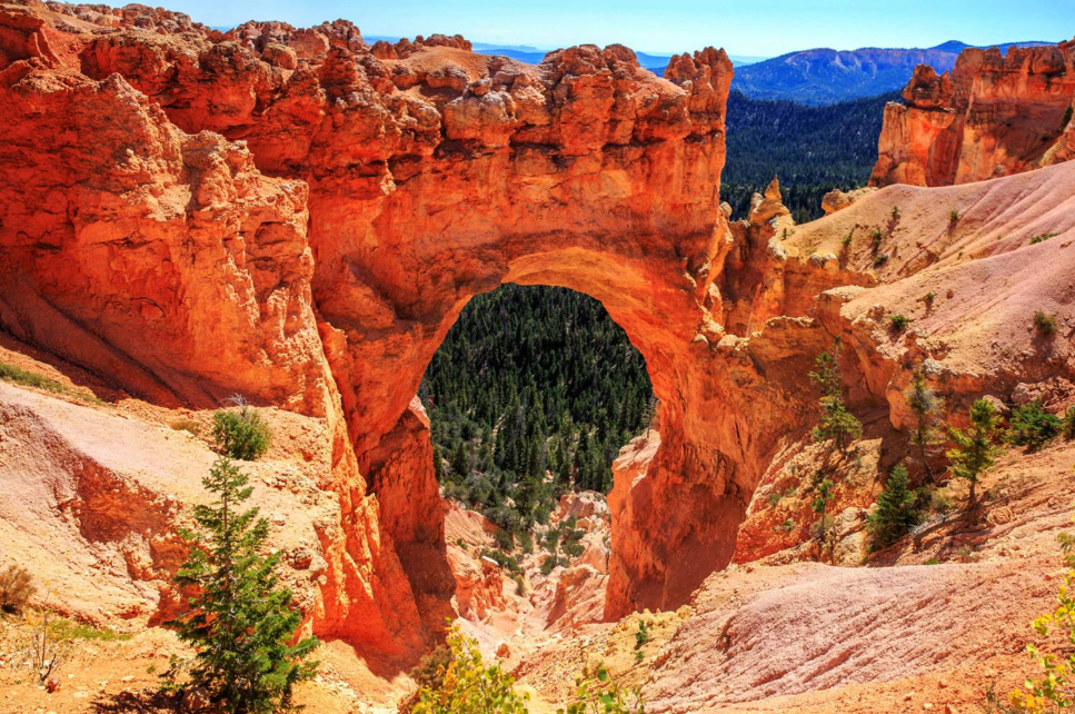 现在就计划!2025年超百个国家公园免费游玩开放日公布! 现在就计划!2025年超百个国家公园免费游玩开放日公布!