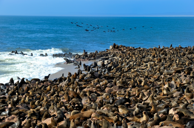 解码非洲三大黄金旅游带:动物大迁徙/沙漠星河/千年神庙终极玩法指南! 解码非洲三大黄金旅游带:动物大迁徙/沙漠星河/千年神庙终极玩法指南!