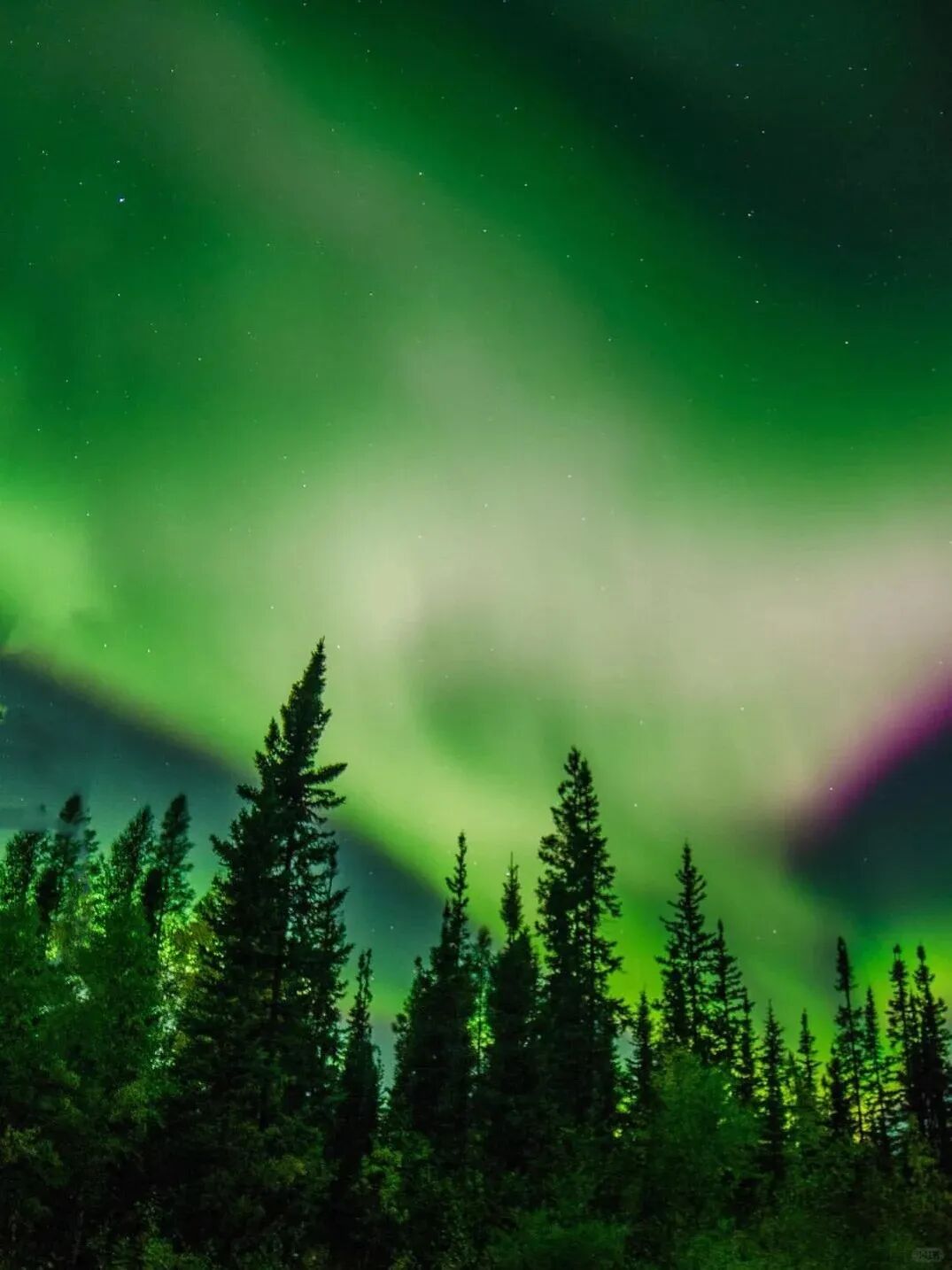 黄刀追极光怎么选？最佳月份？日期？时间？