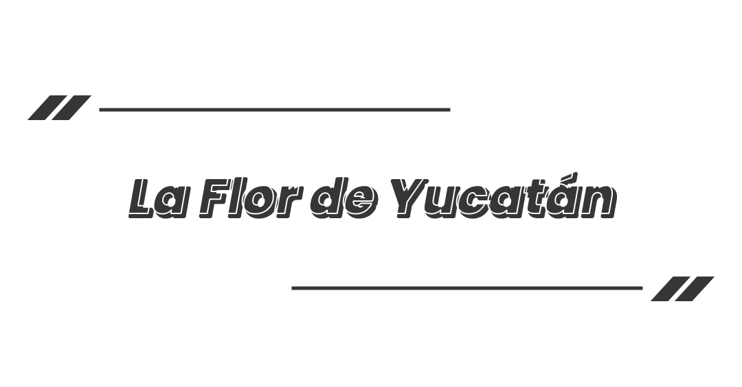 Taco控开心啦！七家值得打卡的洛杉矶Taco店推荐