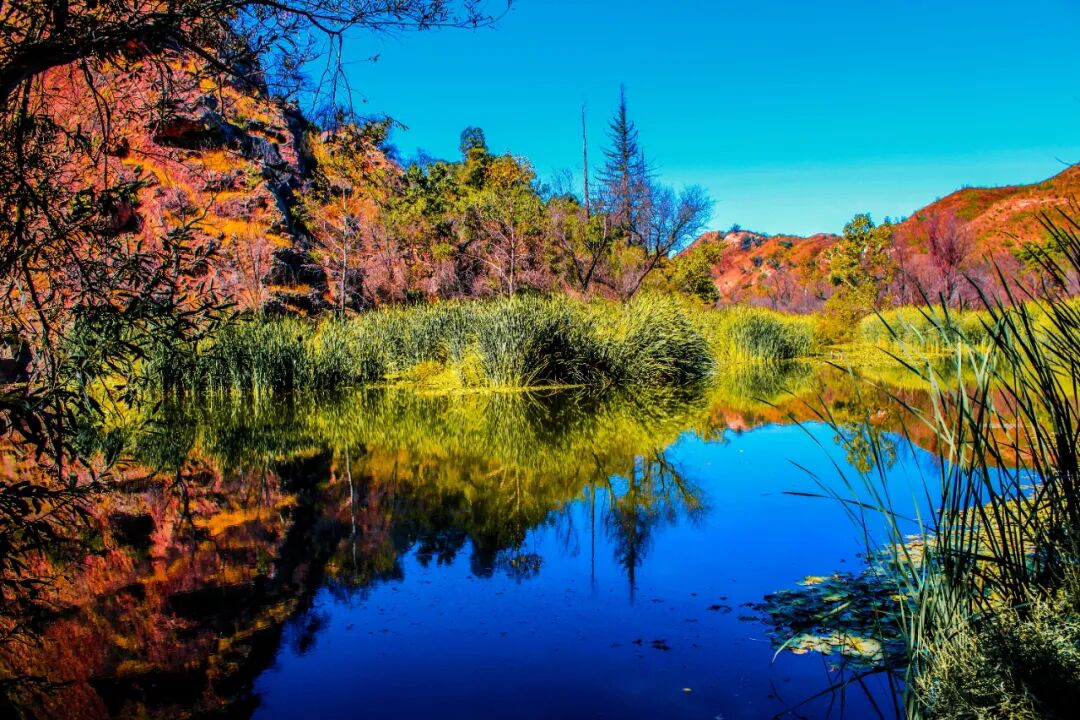 秋日洛杉矶徒步清单!5 条宝藏影迷旅行路线 秋日洛杉矶徒步清单!5 条宝藏影迷旅行路线