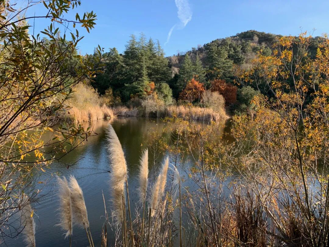 秋日洛杉矶徒步清单!5 条宝藏影迷旅行路线 秋日洛杉矶徒步清单!5 条宝藏影迷旅行路线