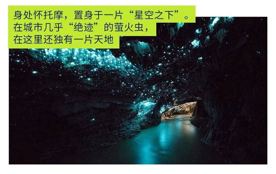 新政 !持澳签免签入境新西兰!2025 澳新游攻略 + 黑五福利 新政 !持澳签免签入境新西兰!2025 澳新游攻略 + 黑五福利