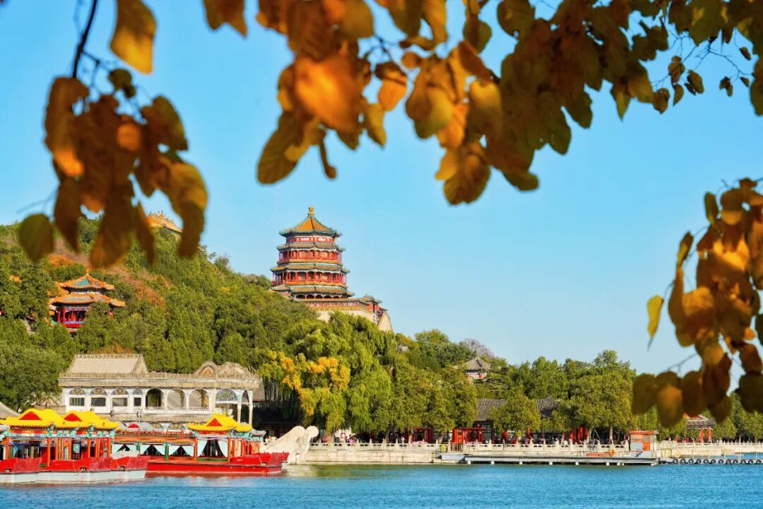 【Nihao 中国】如果思乡有形状,那一定是北京秋天! 【Nihao 中国】如果思乡有形状,那一定是北京秋天!