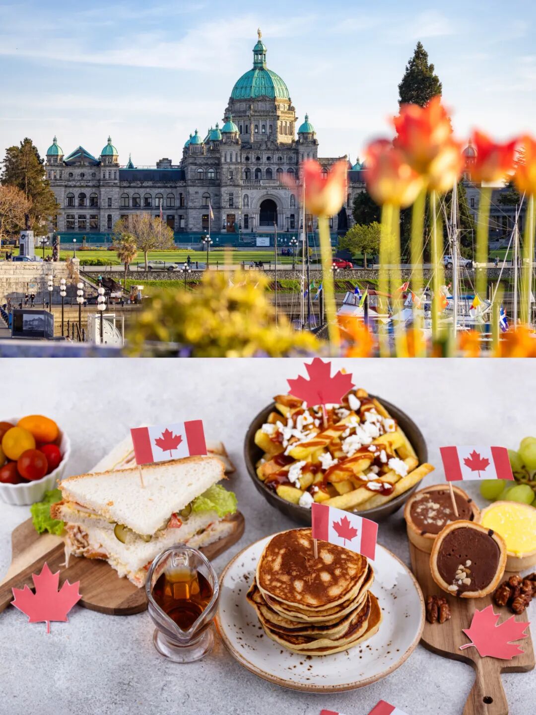 好消息！加拿大团队游恢复啦，机票搜索量暴涨 200%+，旅行社该怎么选 ？