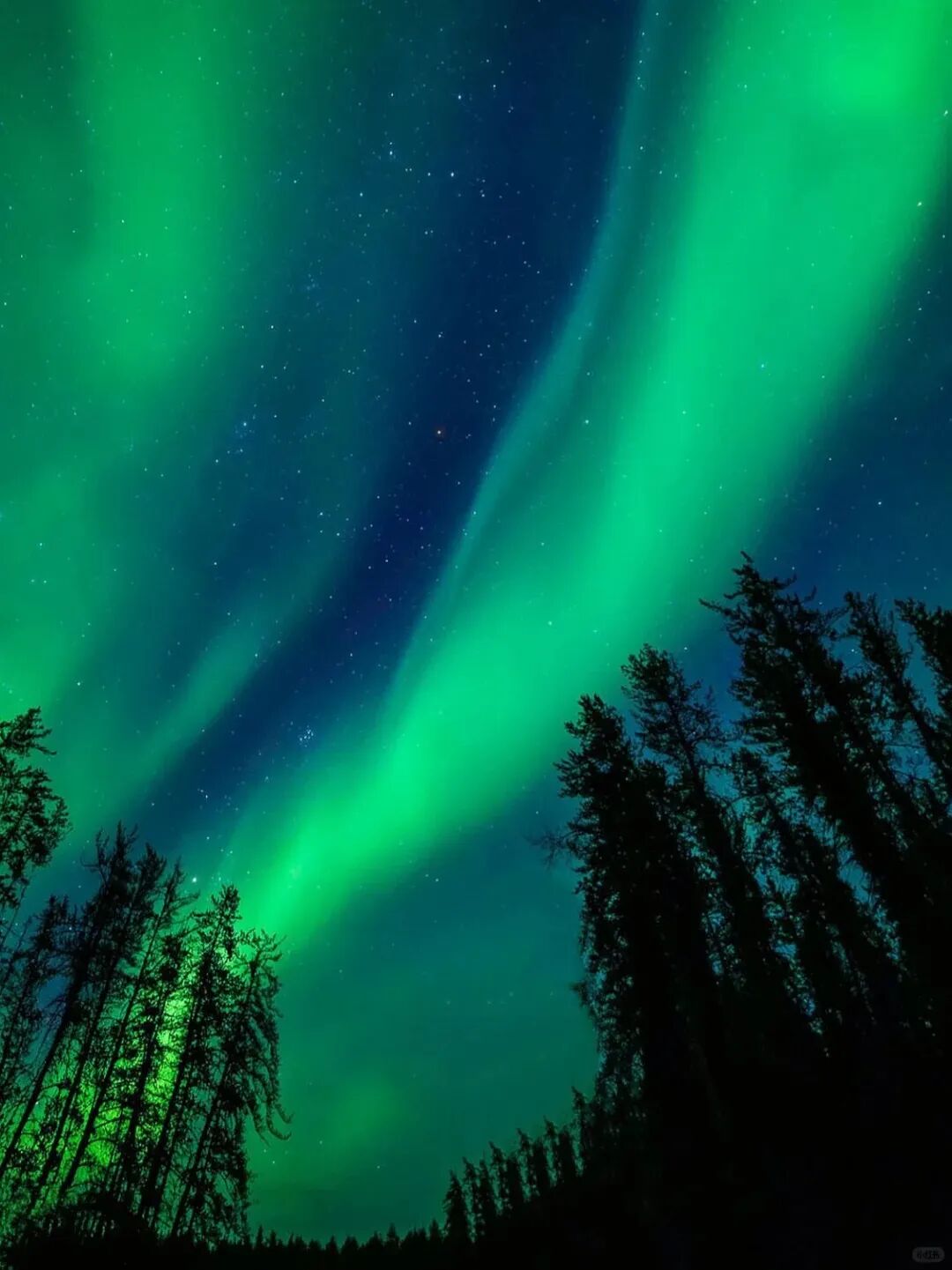 黄刀追极光怎么选？最佳月份？日期？时间？