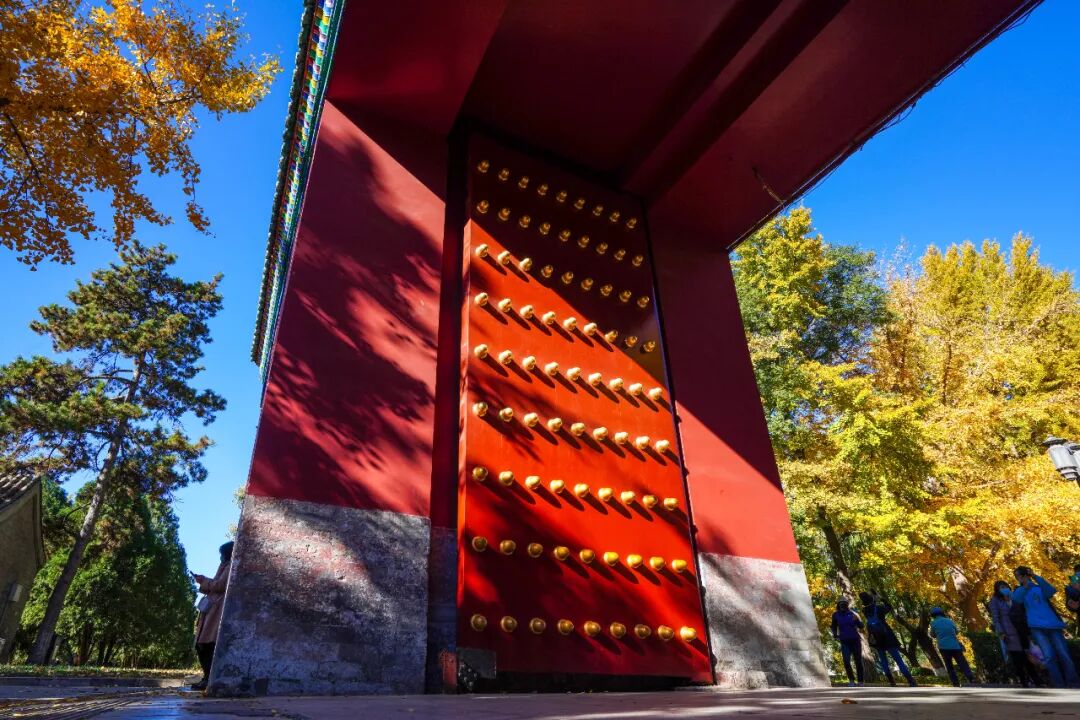 【Nihao 中国】如果思乡有形状,那一定是北京秋天! 【Nihao 中国】如果思乡有形状,那一定是北京秋天!