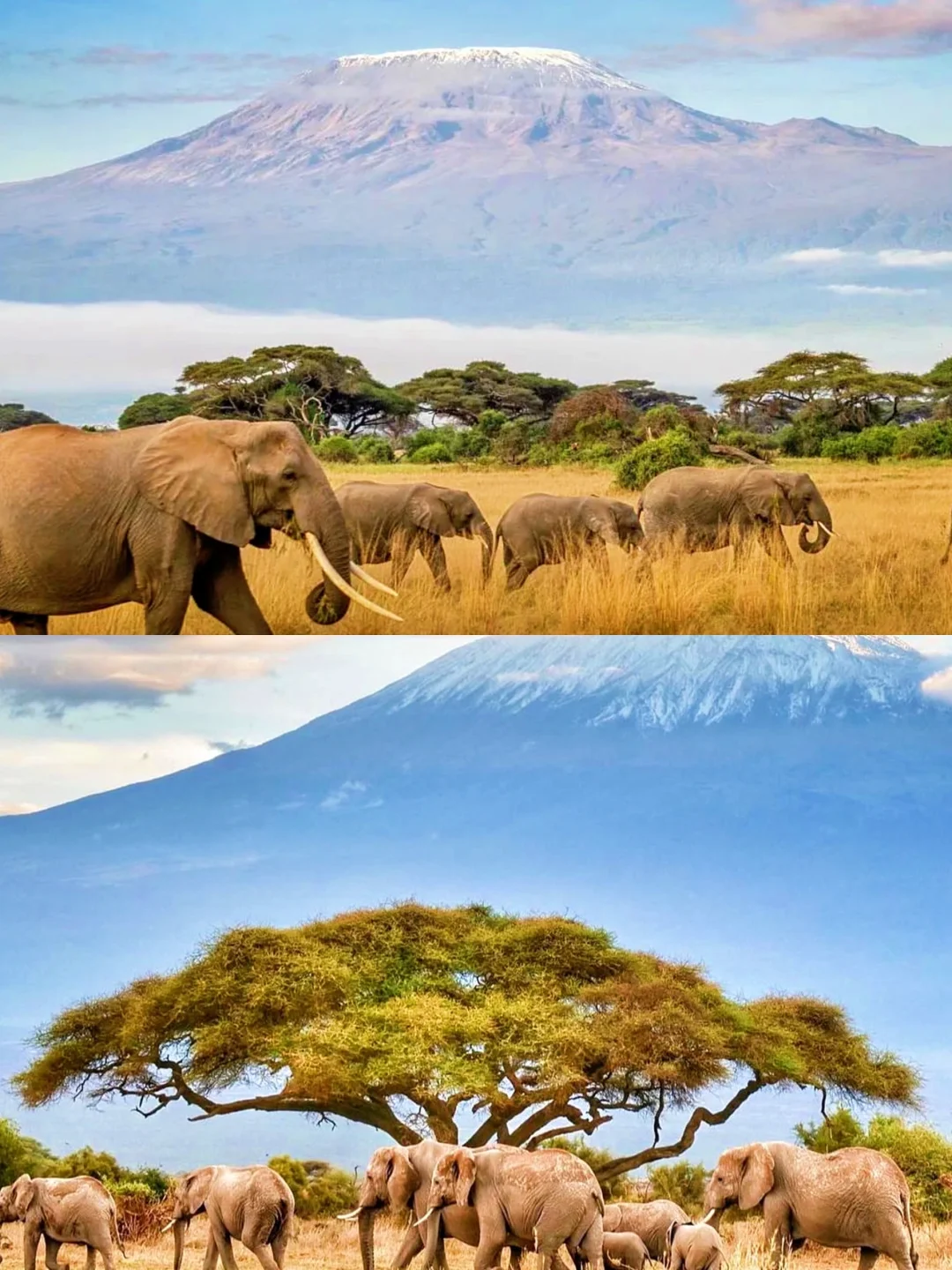 肯尼亚旅游全攻略|必去景点+避坑指南+行程推荐