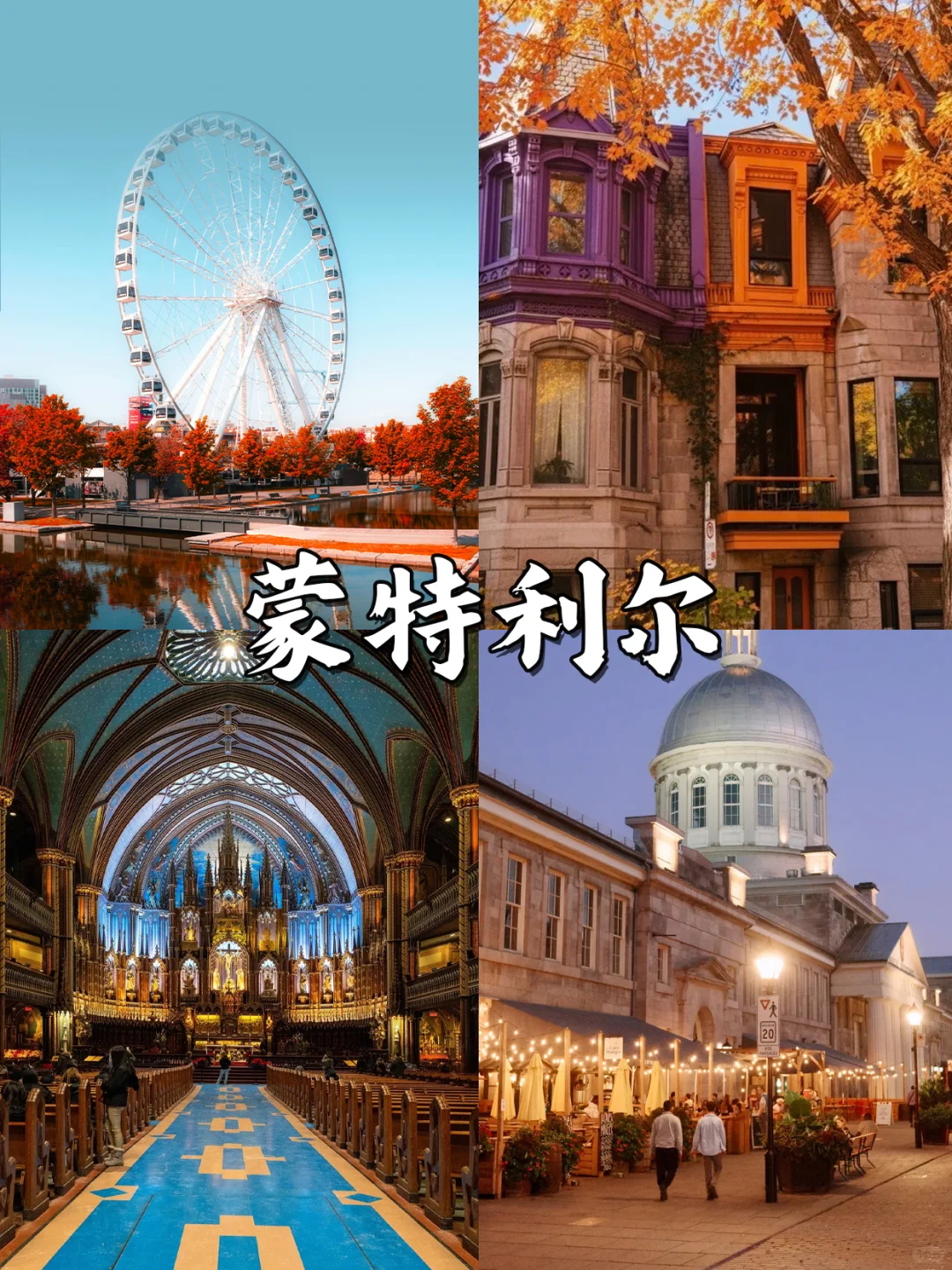 加拿大旅游终极攻略|概况+Tips+景点+加东加西路线！