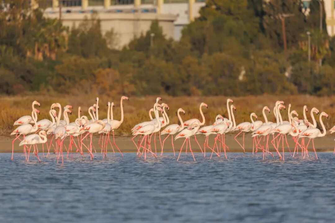 欧洲人私藏的避寒胜地!暖冬旅行这几处直接封神 欧洲人私藏的避寒胜地!暖冬旅行这几处直接封神