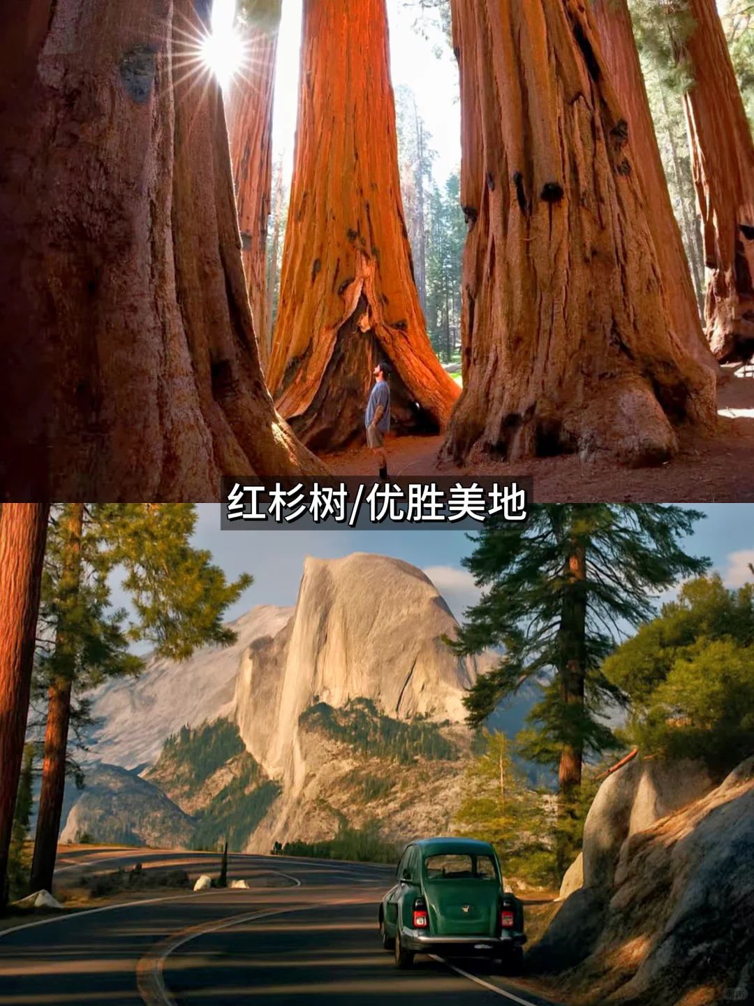 美国旅游终极攻略|美东美西+国家公园+路线+Tips全解锁! 美国旅游终极攻略|美东美西+国家公园+路线+Tips全解锁!