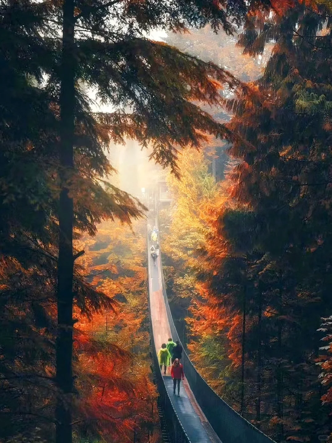 加拿大旅游终极攻略|概况+Tips+景点+加东加西路线！