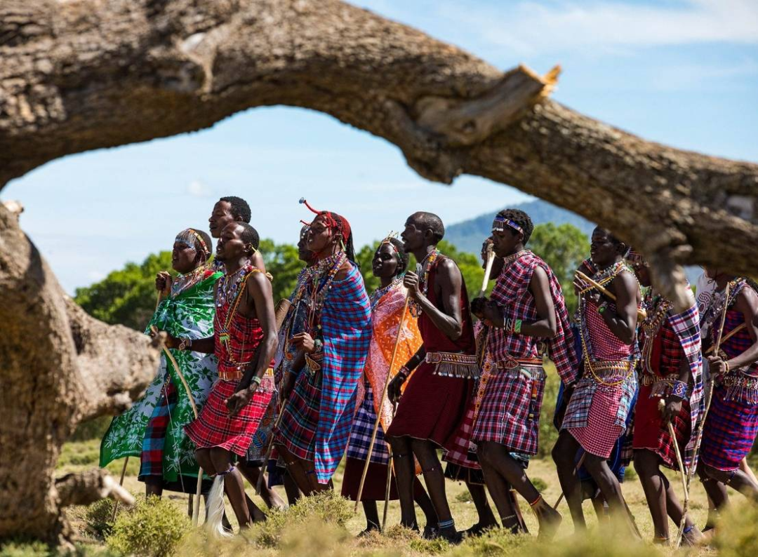 肯尼亚旅游全攻略|必去景点+避坑指南+行程推荐