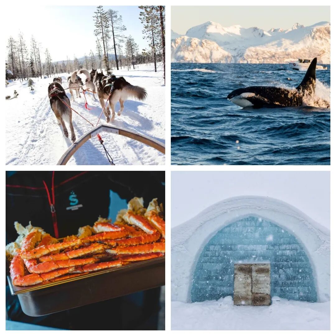 北欧旅行回馈团!玻璃屋追光、捕帝王蟹、观鲸等6大极地体验 北欧旅行回馈团!玻璃屋追光、捕帝王蟹、观鲸等6大极地体验