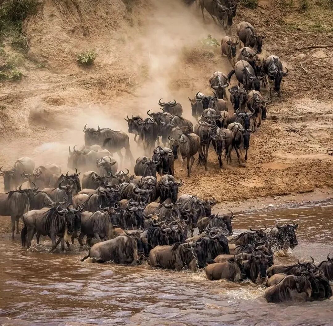 肯尼亚旅游全攻略|必去景点+避坑指南+行程推荐