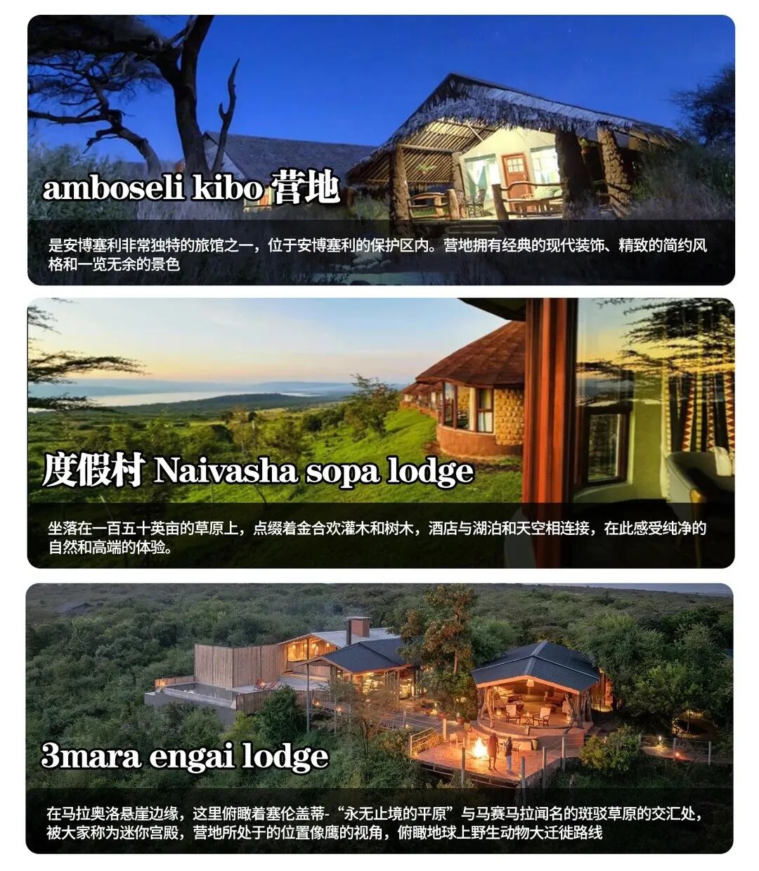 肯尼亚旅游全攻略|必去景点+避坑指南+行程推荐