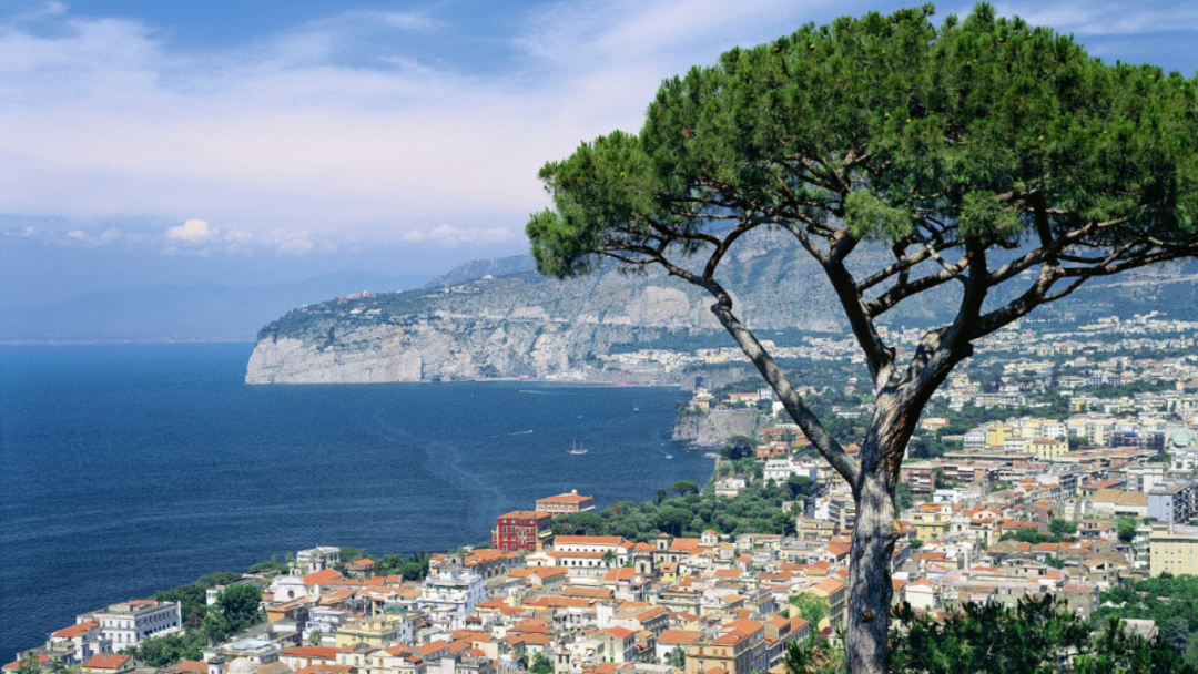 2026维京海轮爆款来袭!打卡地中海6国10城 2026维京海轮爆款来袭!打卡地中海6国10城